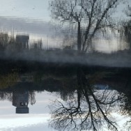 Non à l’expulsion de nos jardins