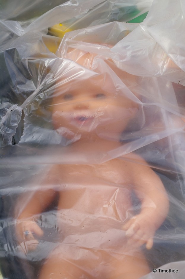 Galerie des curiosités